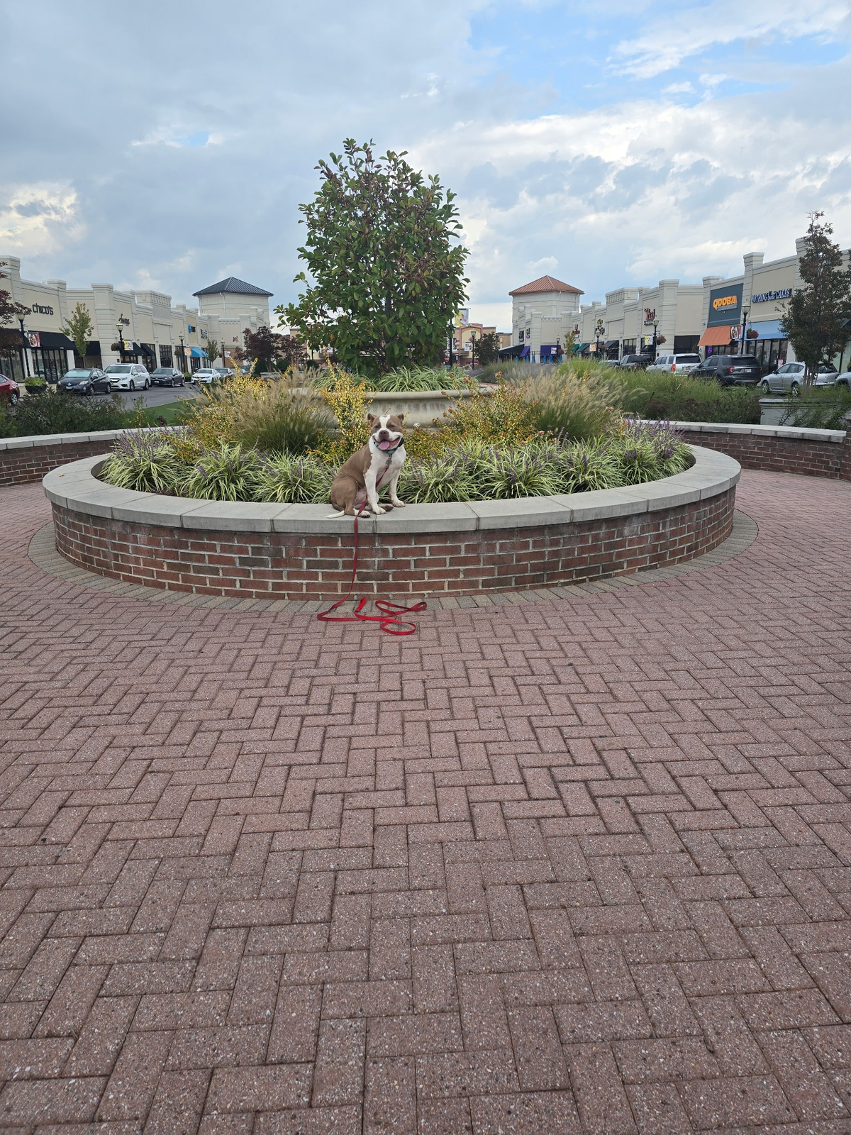 IMG_20250906_090054.jpg