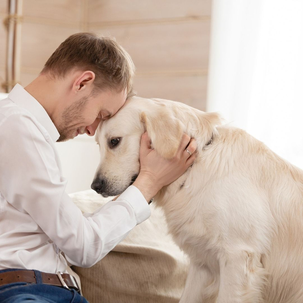 A man holding his forehead against his dogs head