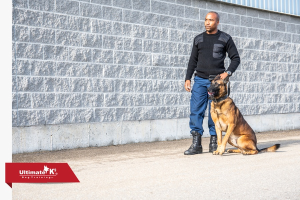 Police Dog Training - Image2.jpg