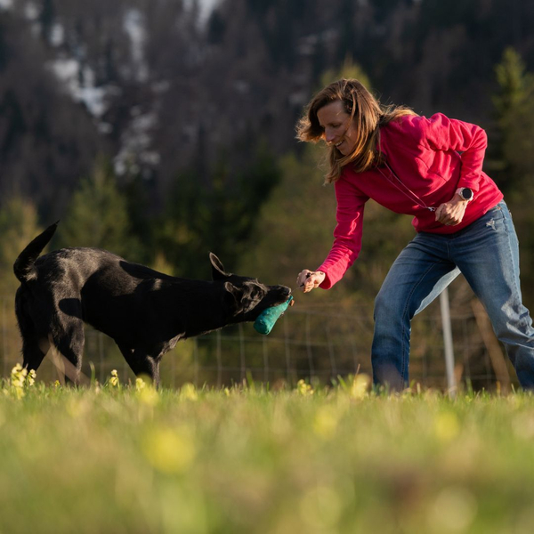 a woman playing with a dog using a toy