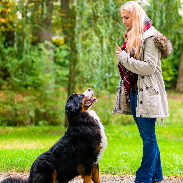a woman signaling her dog to sit and the dog is sitting