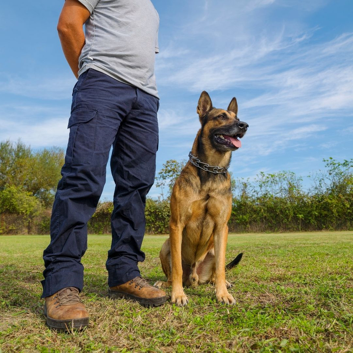 Trained dog standing next to a man 