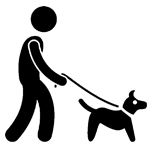 Icon of a person walking their dog