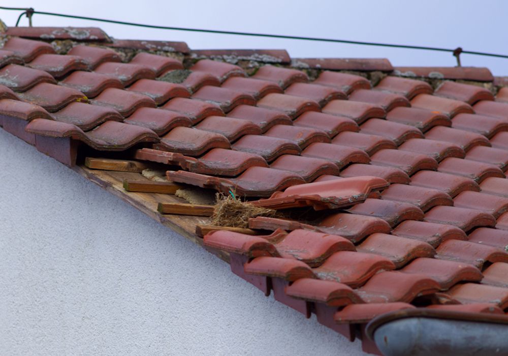 Image of a roof with damaged shingles