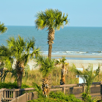 Hilton Head