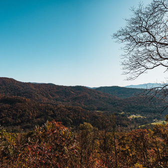 Asheville