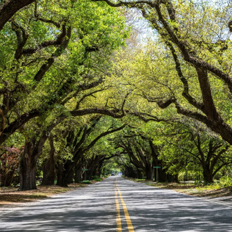 Aiken