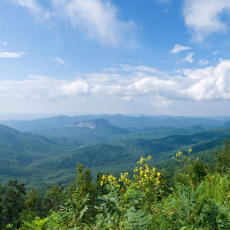 Kingsport