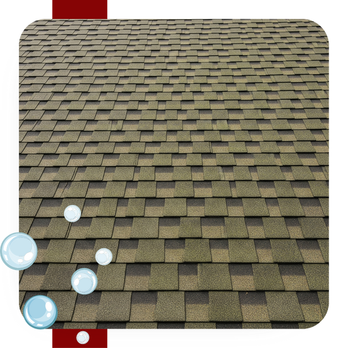 Ugly black algae stains, known as Gloeocapsa magma, on an asphalt shingle roof.