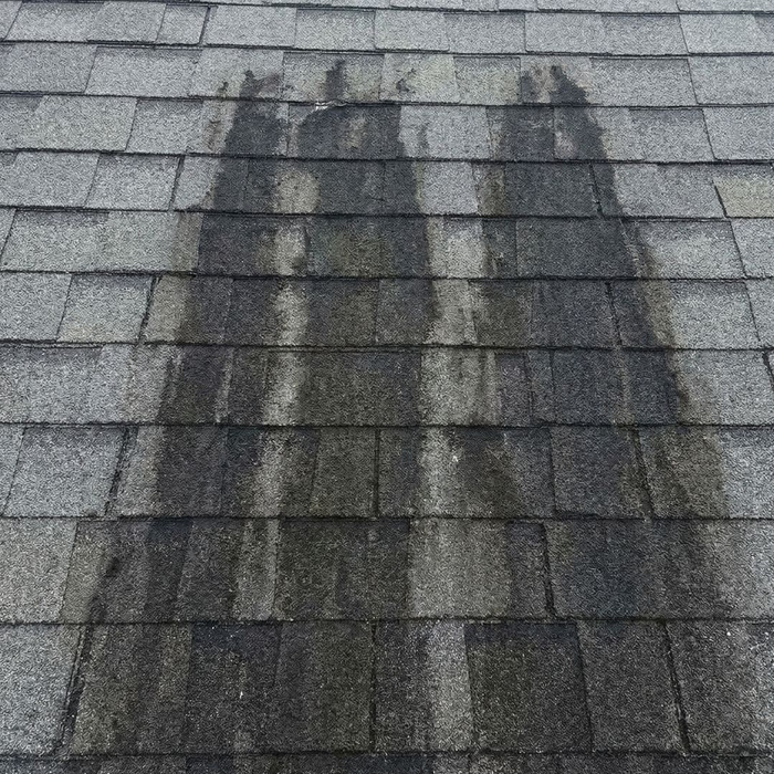 How Roof Cleaning Protects1How Roof Cleaning Protects.jpg