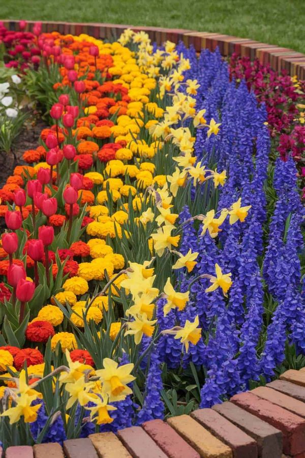 flower-bed-ideas-19.jpg