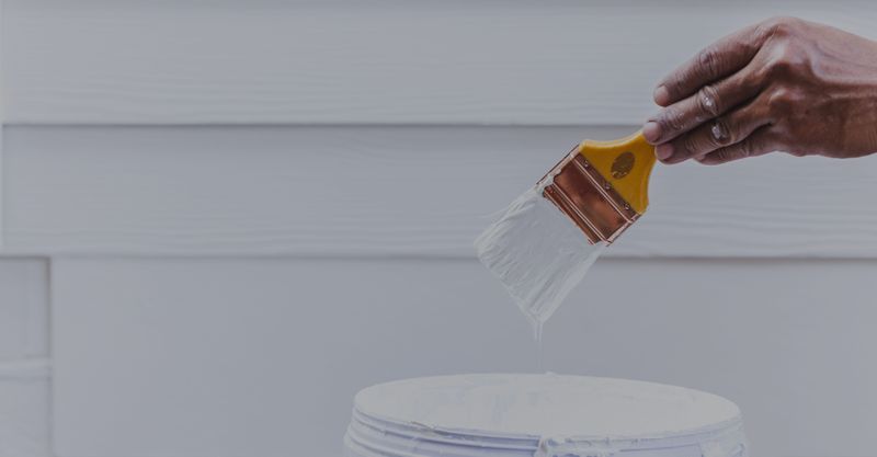 Hero-The Pros and Cons of DIY vs Professional Exterior Painting.jpg