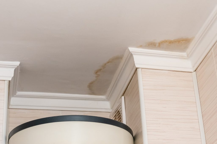 Places-Where-You-May-Have-a-Water-Leak-1024x683.jpg