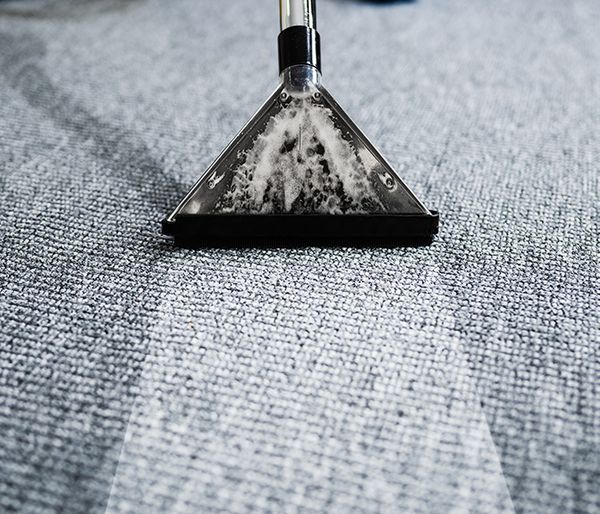 Image of someone cleaning carpet