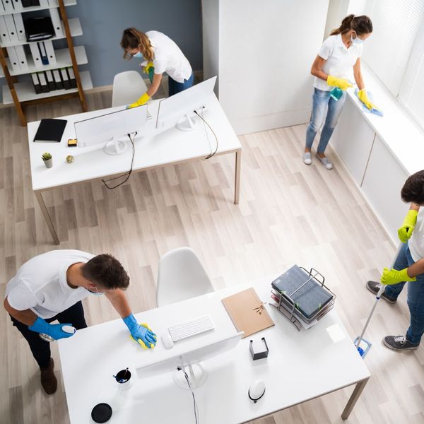 professionals cleaning offices