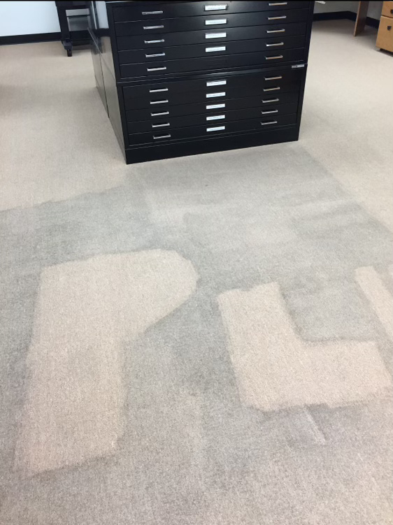Preference LM - Carpet.png