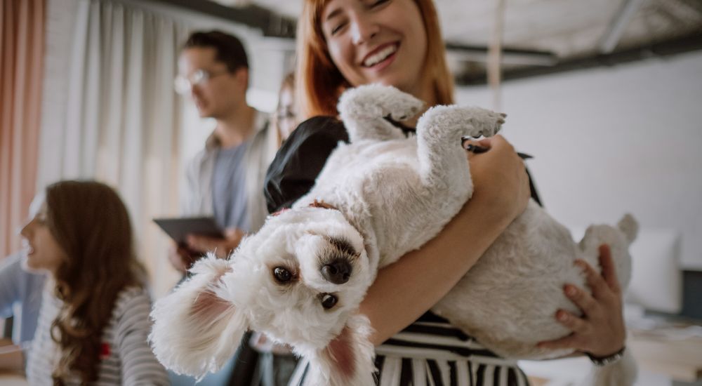 woman holding a dog