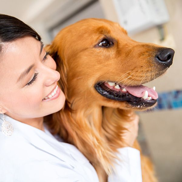 What Makes Pet Spoilers Spa a Top Choice BB Image 1.jpg