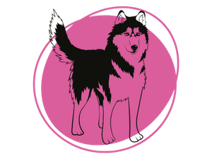 Dog Grooming Services