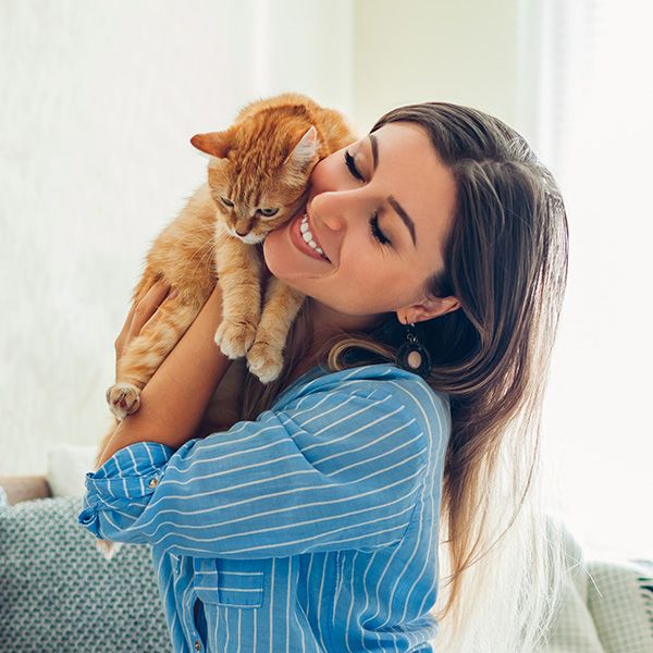4 Reasons to Choose Pet Spoilers Spa for Dog or Cat Grooming BB Image 1.jpg
