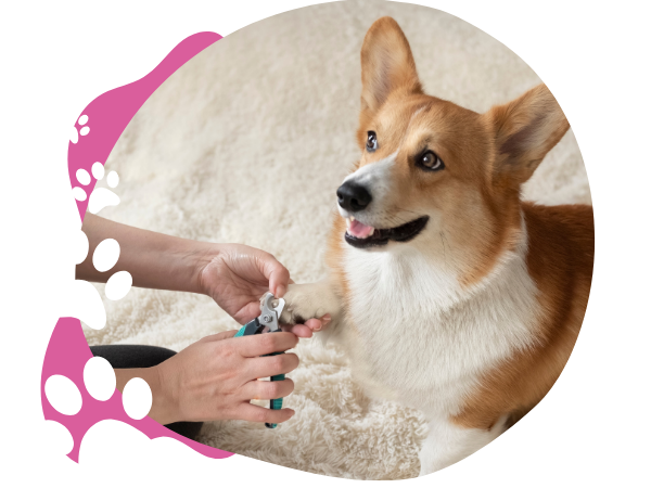 NailTrimming-2.png