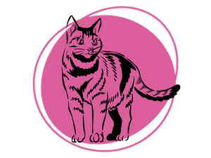 Cat Grooming
