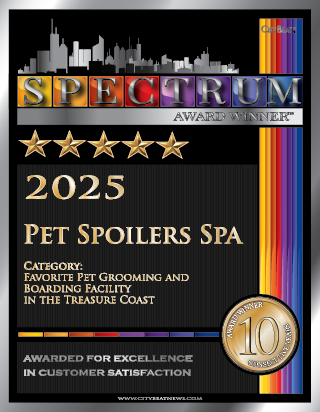 Award2025.png