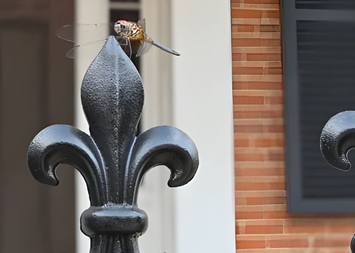 Custom fence gallery 2.jpg