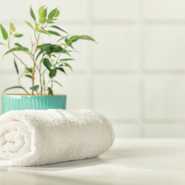 countertop with towel and plant