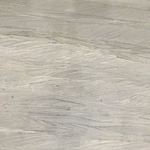 Elegant Grey