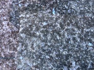 IMG_2728.jpg