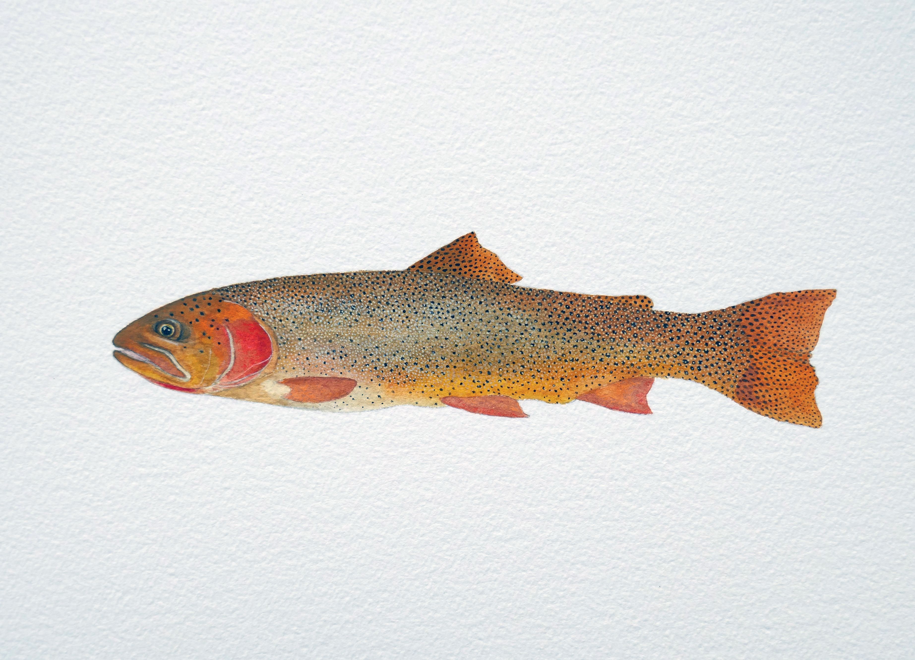 Snake River Cutthroat Limited Edition Print