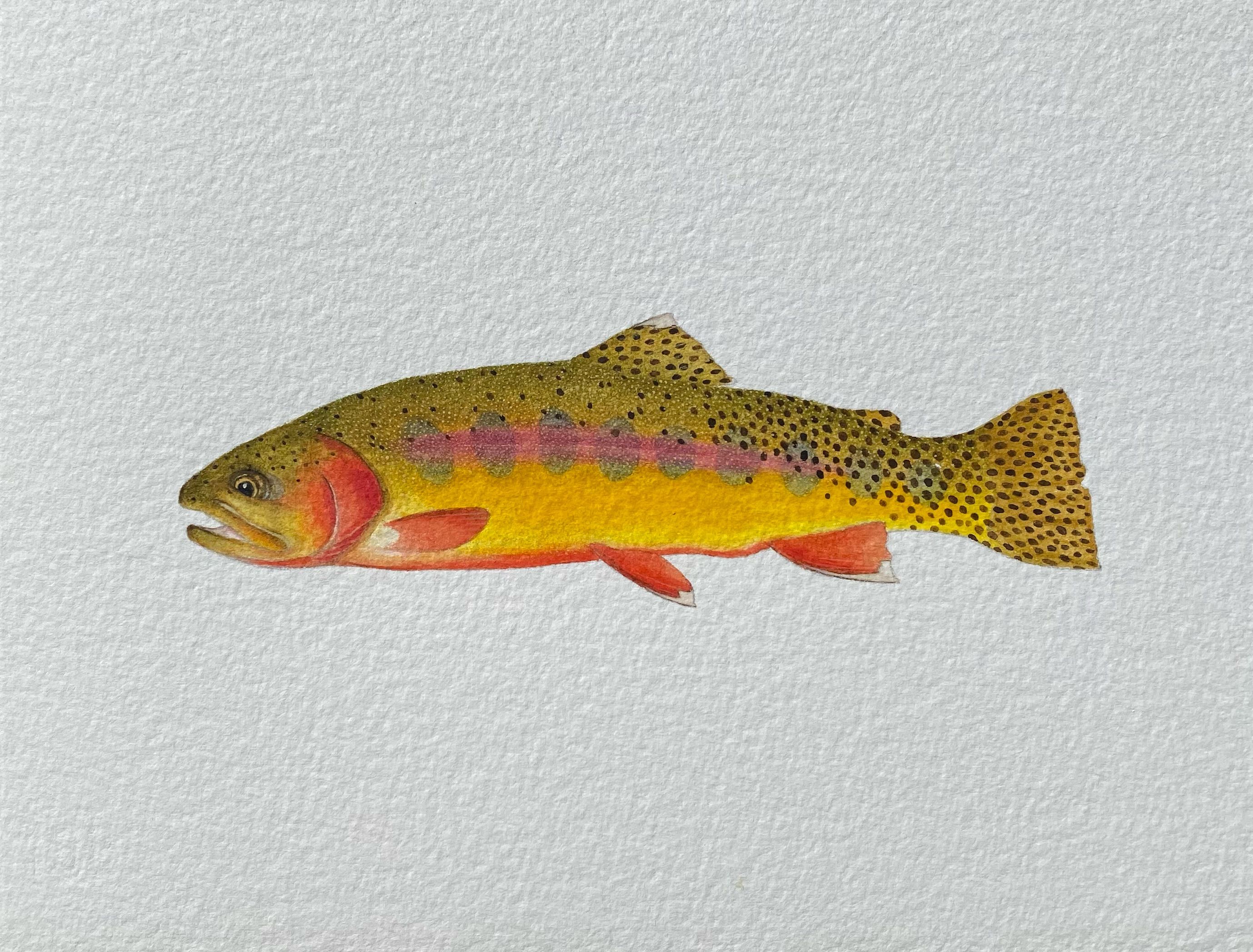 Darren Christiansen Art Original Trout Paintings