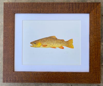 Fly Fishing Prints - Darren Christiansen Art