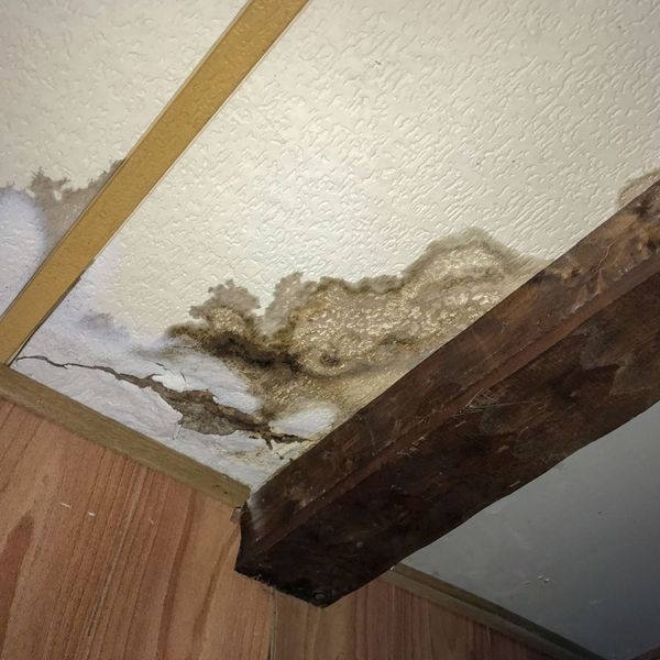 1 The Hidden Costs of Ignoring Water Damage in Your Home.jpg