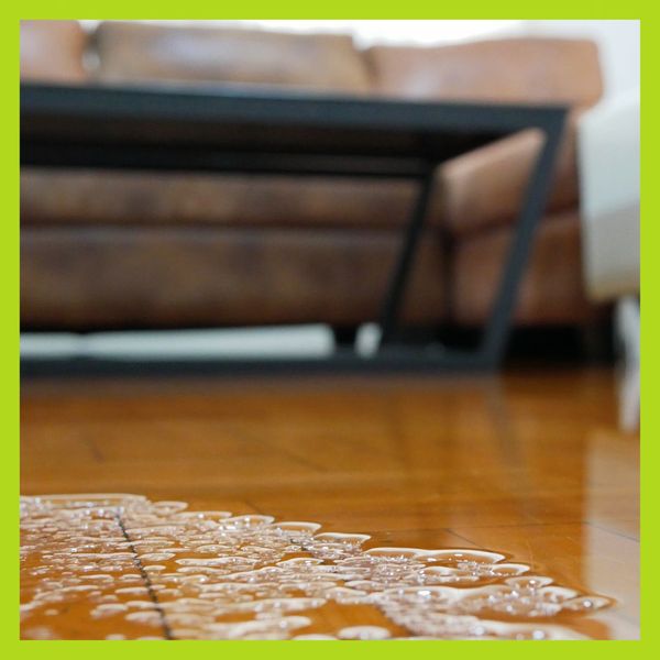 Addressing Common Residential Water Damage in Butte's Historic Homes - 2.jpg