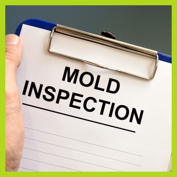 Mold inspection on a clipboard