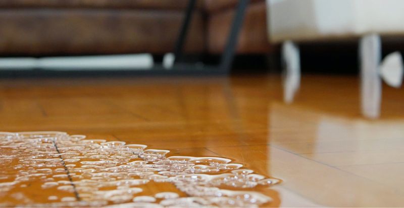 What to Do When You Discover Water Damage in Your Home Hero.jpg