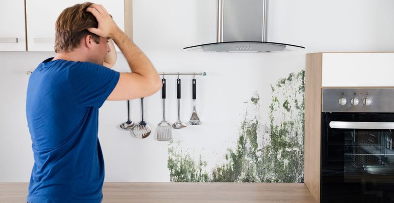 How to Prevent Mold Growth After Water Damage Hero.jpg