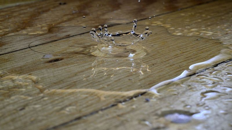 The Hidden Costs of Ignoring Water Damage in Your Home.jpg
