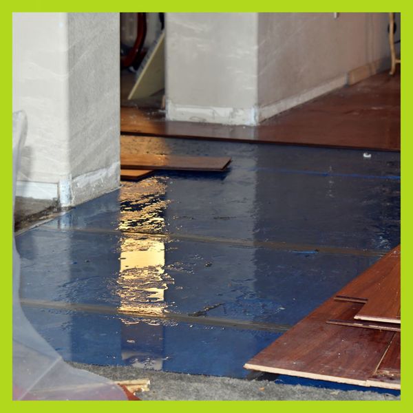 Addressing Common Residential Water Damage in Butte's Historic Homes - 4.jpg