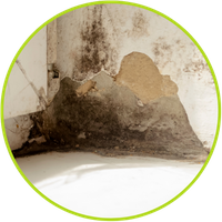 Water Damage Restoration Services - Service 3.png