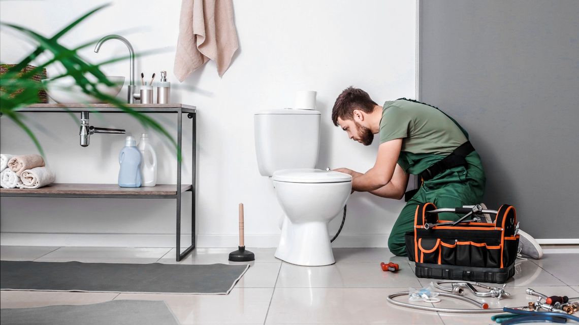 toilet repair