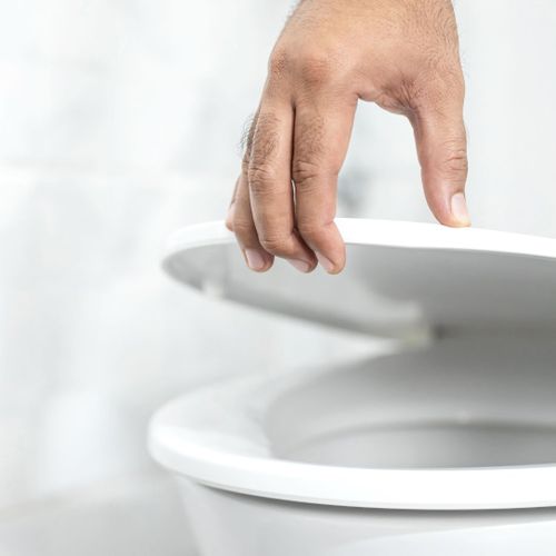 lifting the toilet lid