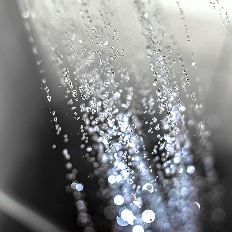 AdobeStock_305647199.jpeg