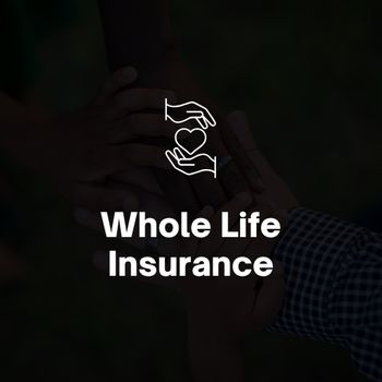 Whole Life.jpg