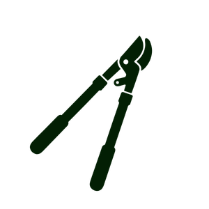 Service Icon - 1 (2).png