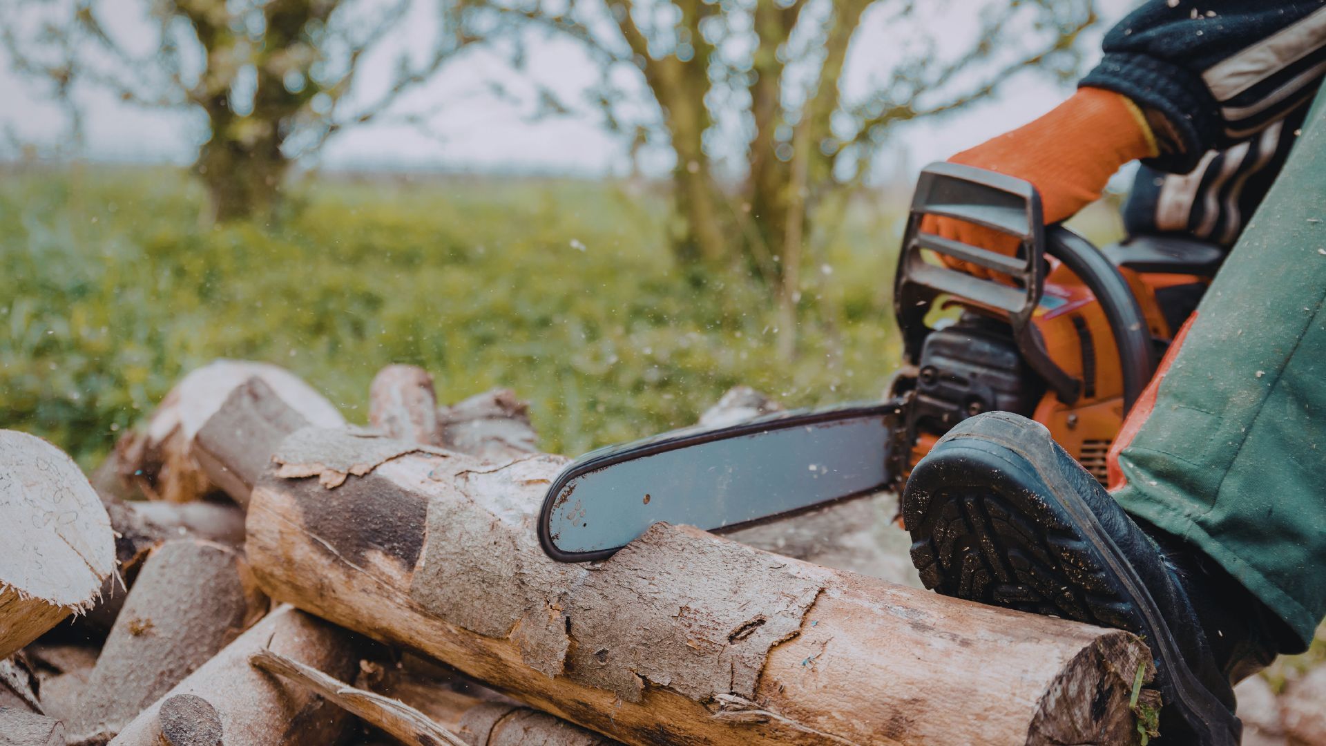 Blog Welcome Image.jpg