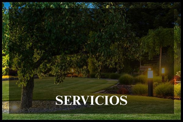 Button 3 - Servicios.jpg