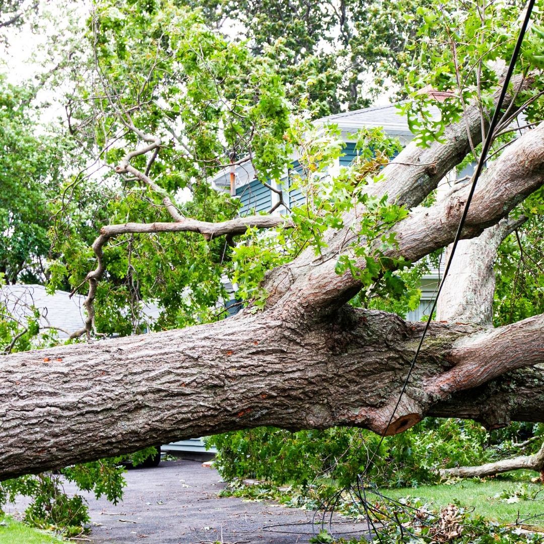 Emergency Services - 2.jpg